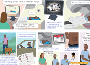 Image of Cebre Guide