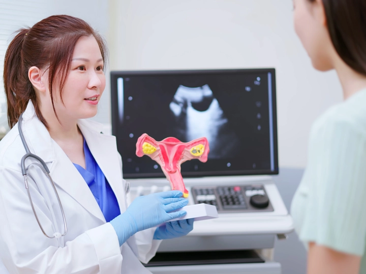 Doctor explaining a uterus model 