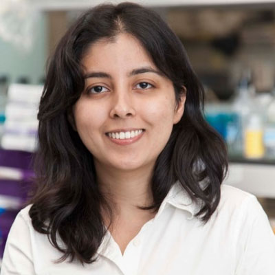 Nipun Verma, MD, PhD