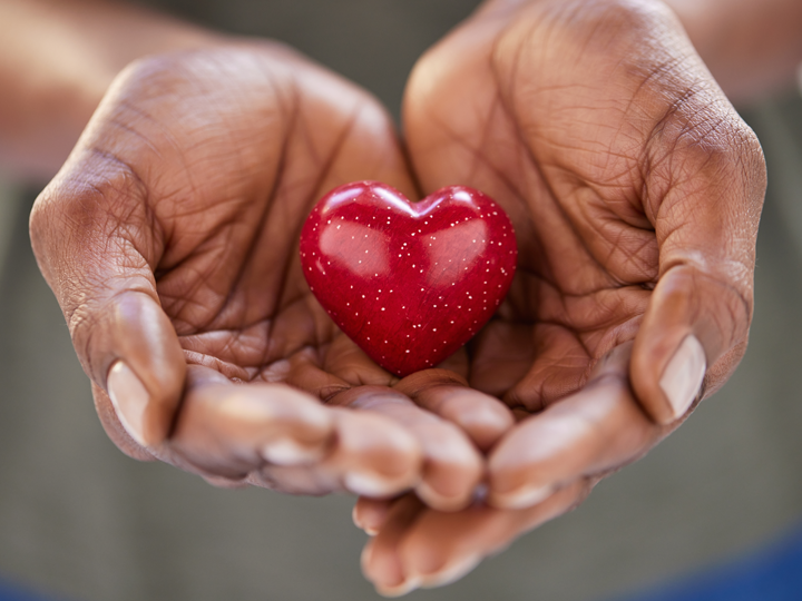 Hands holding a heart